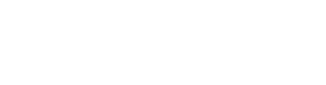Florida Festivals & Events Association